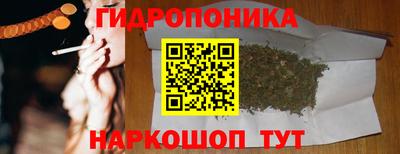 ПСИЛОЦИБИНОВЫЕ ГРИБЫ Заводоуковск