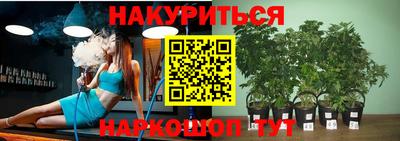 ПСИЛОЦИБИНОВЫЕ ГРИБЫ Заводоуковск