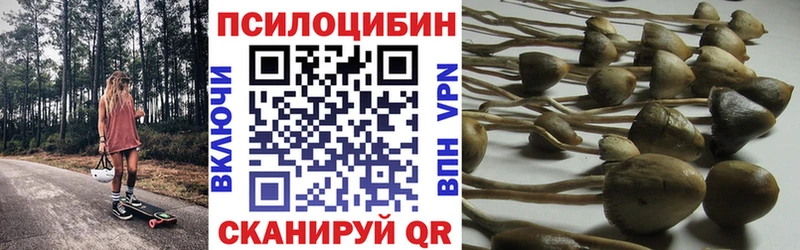 Псилоцибиновые грибы прущие грибы Татарск