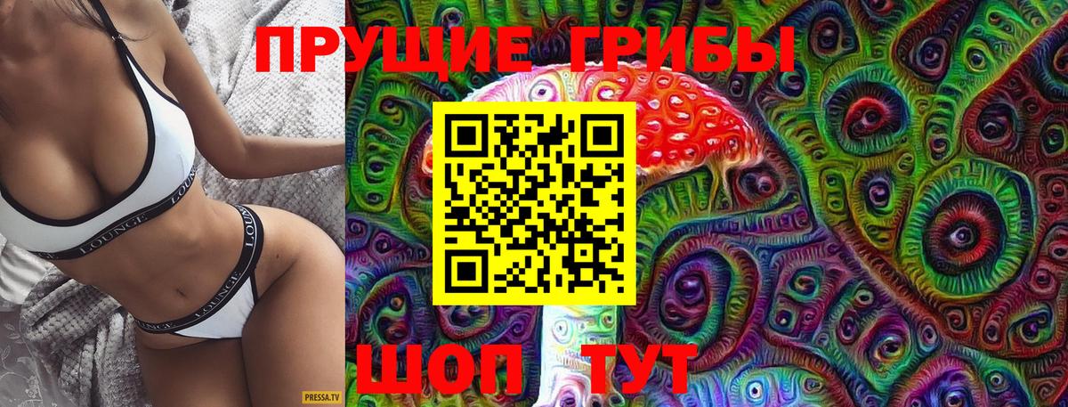 Псилоцибиновые грибы GOLDEN TEACHER  Вход с VPN  Галлюциногенные грибы прущие грибы  Татарск 