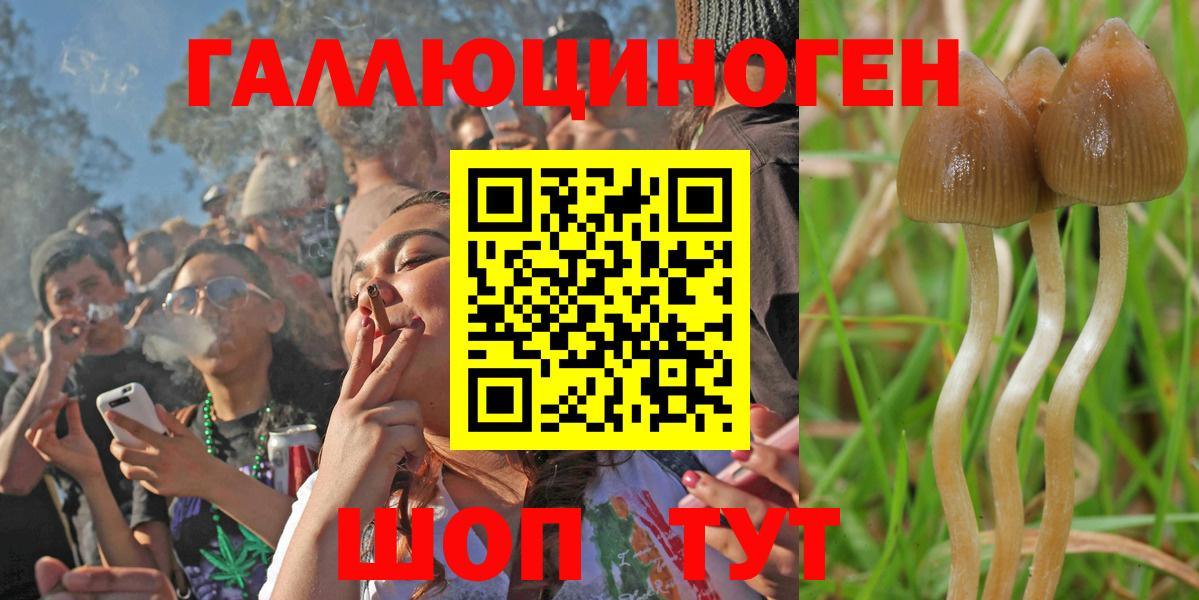 Галлюциногенные грибы Magic Shrooms  Татарск 